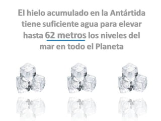 Grsb xarxa tierra-pptminimizer-