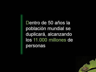 Grsb xarxa tierra-pptminimizer-