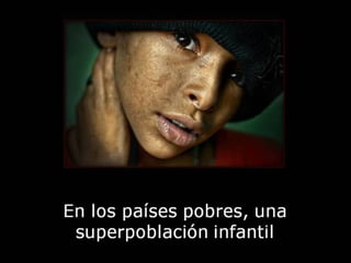 Grsb xarxa tierra-pptminimizer-