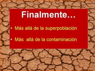 Grsb xarxa tierra-pptminimizer-