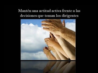 Grsb xarxa tierra-pptminimizer-