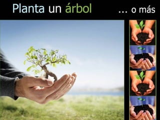 Grsb xarxa tierra-pptminimizer-