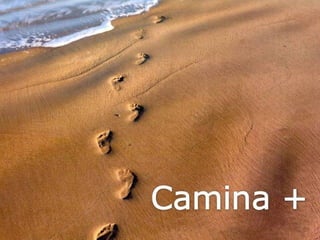 Grsb xarxa tierra-pptminimizer-