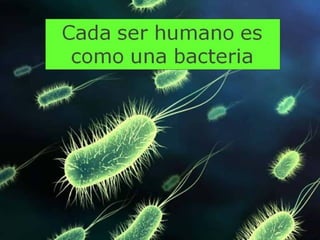 Grsb xarxa tierra-pptminimizer-