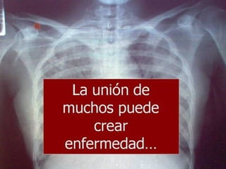 Grsb xarxa tierra-pptminimizer-