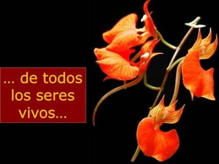 Grsb xarxa tierra-pptminimizer-