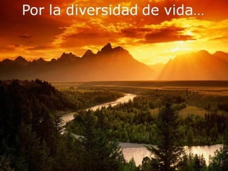 Grsb xarxa tierra-pptminimizer-