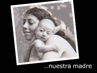 Grsb xarxa tierra-pptminimizer-