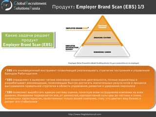 :Продукт Employer Brand Scan (EBS) 1/3
http://www.theglobalrecruit.com
EBS это инновационный инструмент позволяющий реализовывать стратегию построения и управления
Брендом Работодателя
EBS ,определяет и выявляет четкие ключевые показатели деятельности точные индикаторы и
,разрабатывает рекомендации позволяющие быстро достигать значительных результатов в процессе
,выстраивания правильной стратегии в области управления развития и удержания персонала
EBS позволяет выработать единую систему оценки, понятную всем сотрудникам компании на всех
. , ,уровнях Измерению подвергается все от ценностей корпоративной культуры до частных и очень
, , ,уникальных характеристик свойственных только вашей компании тому что двигает ваш бизнес и
делает его стабильным
EBS это инновационный инструмент позволяющий реализовывать стратегию построения и управления
Брендом Работодателя
EBS ,определяет и выявляет четкие ключевые показатели деятельности точные индикаторы и
,разрабатывает рекомендации позволяющие быстро достигать значительных результатов в процессе
,выстраивания правильной стратегии в области управления развития и удержания персонала
EBS позволяет выработать единую систему оценки, понятную всем сотрудникам компании на всех
. , ,уровнях Измерению подвергается все от ценностей корпоративной культуры до частных и очень
, , ,уникальных характеристик свойственных только вашей компании тому что двигает ваш бизнес и
делает его стабильным
Какие задачи решает
продукт
Employer Brand Scan (EBS)
Какие задачи решает
продукт
Employer Brand Scan (EBS)
 