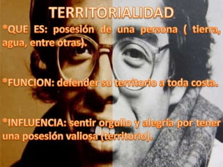 FICHAS SEGUNDO PERIODO 