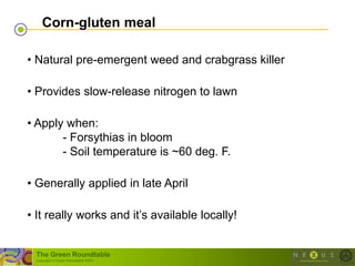 Corn-gluten meal

• Natural pre-emergent weed and crabgrass killer

• Provides slow-release nitrogen to lawn

• Apply when:
       - Forsythias in bloom
       - Soil temperature is ~60 deg. F.

• Generally applied in late April

• It really works and it‘s available locally!


 The Green Roundtable
 (copyright © Green Roundtable 2007)
 