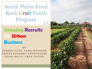 South Plains Food
 Bank Grub Youth
     Program
 Growing Recruits
 for Urban
 Business
             BY
DEBBIE CLINE, FARM MANAGER
KRISTA SANDERS, GRUB INTERN
 KOZIE BACIO, GRUB INTERN
 