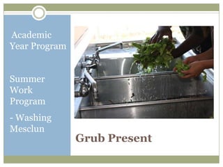 Academic
Year Program


Summer
Work
Program
- Washing
Mesclun
               Grub Present
 