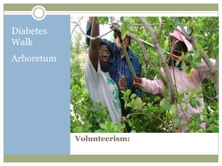 Diabetes
Walk
Arboretum




            Volunteerism:
 