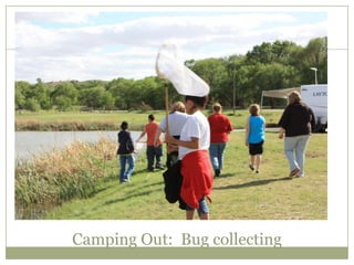 Camping Out: Bug collecting
 