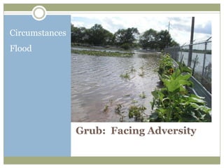 Circumstances
Flood




                Grub: Facing Adversity
 