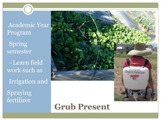 Academic Year
Program
-Spring
semester
-- Learn field
work such as
-Irrigation and

Spraying
fertilizer
                  Grub Present
 