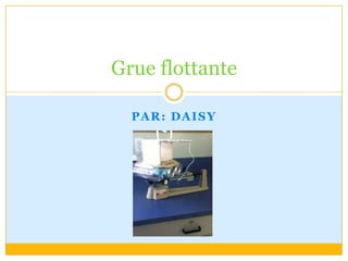 Par: Daisy Grue flottante 
