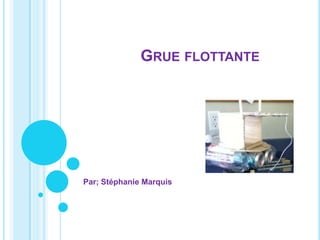 Grue flottante  Par; Stéphanie Marquis  