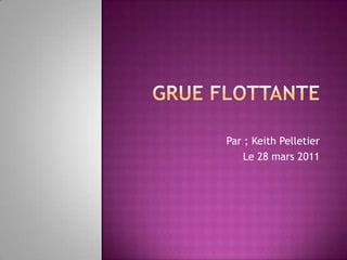 Grue flottante Par ; Keith Pelletier Le 28 mars 2011   