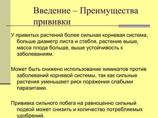 Введение – Преимущества
прививки
У привитых растений более сильная корневая система,
больше диаметр листа и стебля, растение выше,
масса плода больше, выше устойчивость к
заболеваниям.

Может быть снижено использование химикатов против
заболеваний корневой системы, так как сильные
растения уменьшают риск поражения слабыми
паразитами.
Прививка сильного побега на равноценно сильный
подвой может снизить и количество потребляемых
удобрений.

 