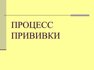 ПРОЦЕСС
ПРИВИВКИ

 