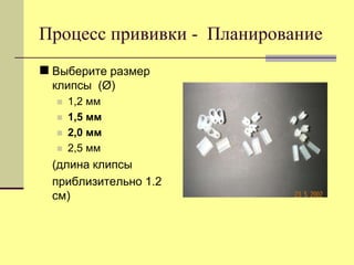 Процесс прививки - Планирование
 Выберите размер
клипсы (Ø)





1,2 мм
1,5 мм
2,0 мм
2,5 мм

(длина клипсы
приблизительно 1.2
см)

 