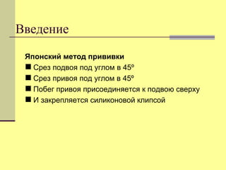 Введение
Японский метод прививки
 Срез подвоя под углом в 45º
 Срез привоя под углом в 45º
 Побег привоя присоединяется к подвою сверху
 И закрепляется силиконовой клипсой

 