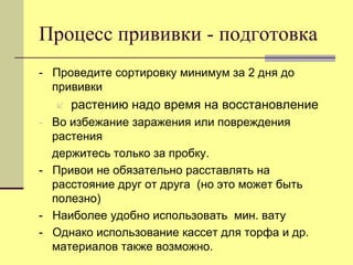 Процесс прививки - подготовка
- Проведите сортировку минимум за 2 дня до
прививки


растению надо время на восстановление

- Во избежание заражения или повреждения

растения
держитесь только за пробку.
- Привои не обязательно расставлять на
расстояние друг от друга (но это может быть
полезно)
- Наиболее удобно использовать мин. вату
- Однако использование кассет для торфа и др.
материалов также возможно.

 