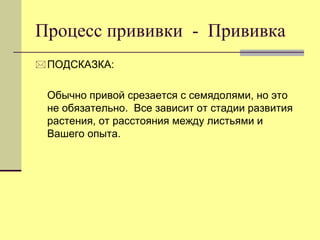 Процесс прививки - Прививка
 ПОДСКАЗКА:

Обычно привой срезается с семядолями, но это
не обязательно. Все зависит от стадии развития
растения, от расстояния между листьями и
Вашего опыта.

 