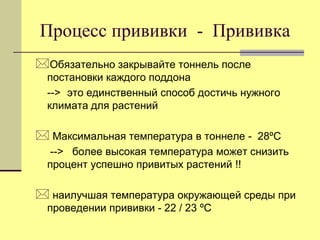 Процесс прививки - Прививка
Обязательно закрывайте тоннель после
постановки каждого поддона
--> это единственный способ достичь нужного
климата для растений

 Максимальная температура в тоннеле - 28ºC
--> более высокая температура может снизить
процент успешно привитых растений !!

 наилучшая температура окружающей среды при
проведении прививки - 22 / 23 ºC

 