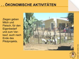 . . . ÖKONOMISCHE AKTIVITÄTEN

© B fdW /GM Ö /M ÖWe /V EM

Ziegen geben
Milch und
Fleisch, für den
Eigenbedarf
und zum Verkauf, auch nach
Ende des
Pilotprojekts.

 