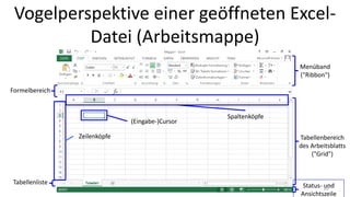 Vogelperspektive einer geöffneten Excel-
Datei (Arbeitsmappe)
Menüband
("Ribbon")
Tabellenbereich
des Arbeitsblatts
("Grid")
Formelbereich
Tabellenliste
Status- und
Ansichtszeile
Spaltenköpfe
Zeilenköpfe
(Eingabe-)Cursor
10
 