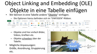 Object Linking and Embedding (OLE)
Objekte in eine Tabelle einfügen
• Wir können in eine Tabelle andere "Objekte" einfügen.
– Die Optionen hierzu befinden sich im "EINFÜGEN"-Ribbon.
– Objekte sind hier einfach Bilder,
Videos, Grafiken etc.
– Objekte schweben über der
Tabelle.
• Mögliche Anpassungen:
Größe, Anordnung, Gruppierung
etc. 8
 