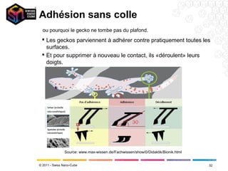 Adhésion sans colle
  ou pourquoi le gecko ne tombe pas du plafond.
  Les geckos parviennent à adhérer contre pratiquement toutes les
   surfaces.
  Et pour supprimer à nouveau le contact, ils «déroulent» leurs
   doigts.




                Source: www.max-wissen.de/Fachwissen/show/0/Didaktik/Bionik.html


© 2011 - Swiss Nano-Cube                                                           32
 