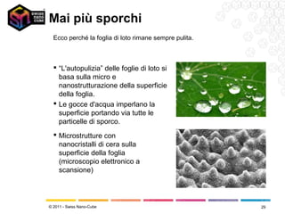 Mai più sporchi
  Ecco perché la foglia di loto rimane sempre pulita.



   “L'autopulizia” delle foglie di loto si
    basa sulla micro e
    nanostrutturazione della superficie
    della foglia.
   Le gocce d'acqua imperlano la
    superficie portando via tutte le
    particelle di sporco.
   Microstrutture con
    nanocristalli di cera sulla
    superficie della foglia
    (microscopio elettronico a
    scansione)




© 2011 - Swiss Nano-Cube                                29
 