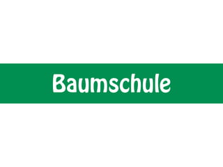 Baumschule
 