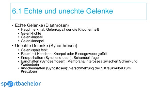 Echte Und Unechte Gelenke Beispiele Grundlagen der Anatomie