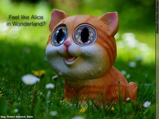 Feel like Alice
in Wonderland?
Bildquelle:Pixabay,CC0Lizenz
Mag. Robert Schrenk, Bakk.
 