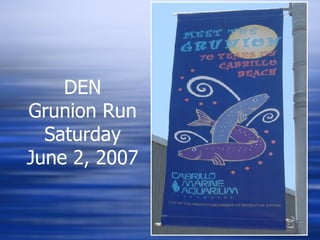 DEN Grunion Run Saturday June 2, 2007 