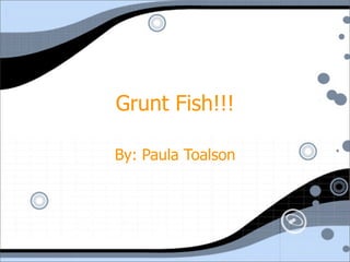 Grunt Fish!!!

By: Paula Toalson
 