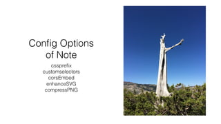 Conﬁg Options
of Note
csspreﬁx
customselectors
corsEmbed
enhanceSVG
compressPNG
 
