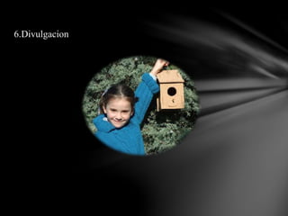 6.Divulgacion
 