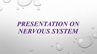 PRESENTATION ON
NERVOUS SYSTEM
 