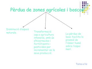 Disminució d’espais naturals. Transformació cap a agricultura intensiva, amb ús d’hivernacles i fertilitzants i pesticides per incrementar-se la seva producció. La pèrdua de bosc facilita la pressió de l'ésser humà sobre l’espai marí. Torna a l’esquma 