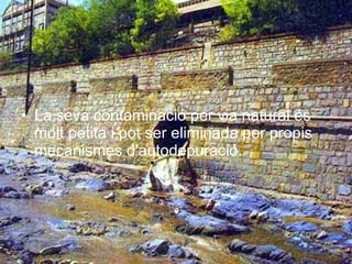 La seva contaminació per via natural és molt petita i pot ser eliminada per propis mecanismes d'autodepuració. 