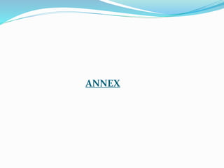 ANNEX
 