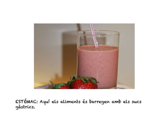 ESTÓMAC: Aquí els aliments és barregen amb els sucs
gàstrics.
 