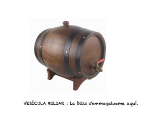 VESÍCULA BILIAR : La bilis s'emmagatzema aquí.
 