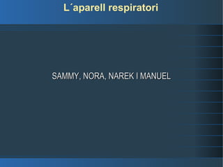 L´aparell respiratori SAMMY, NORA, NAREK I MANUEL 